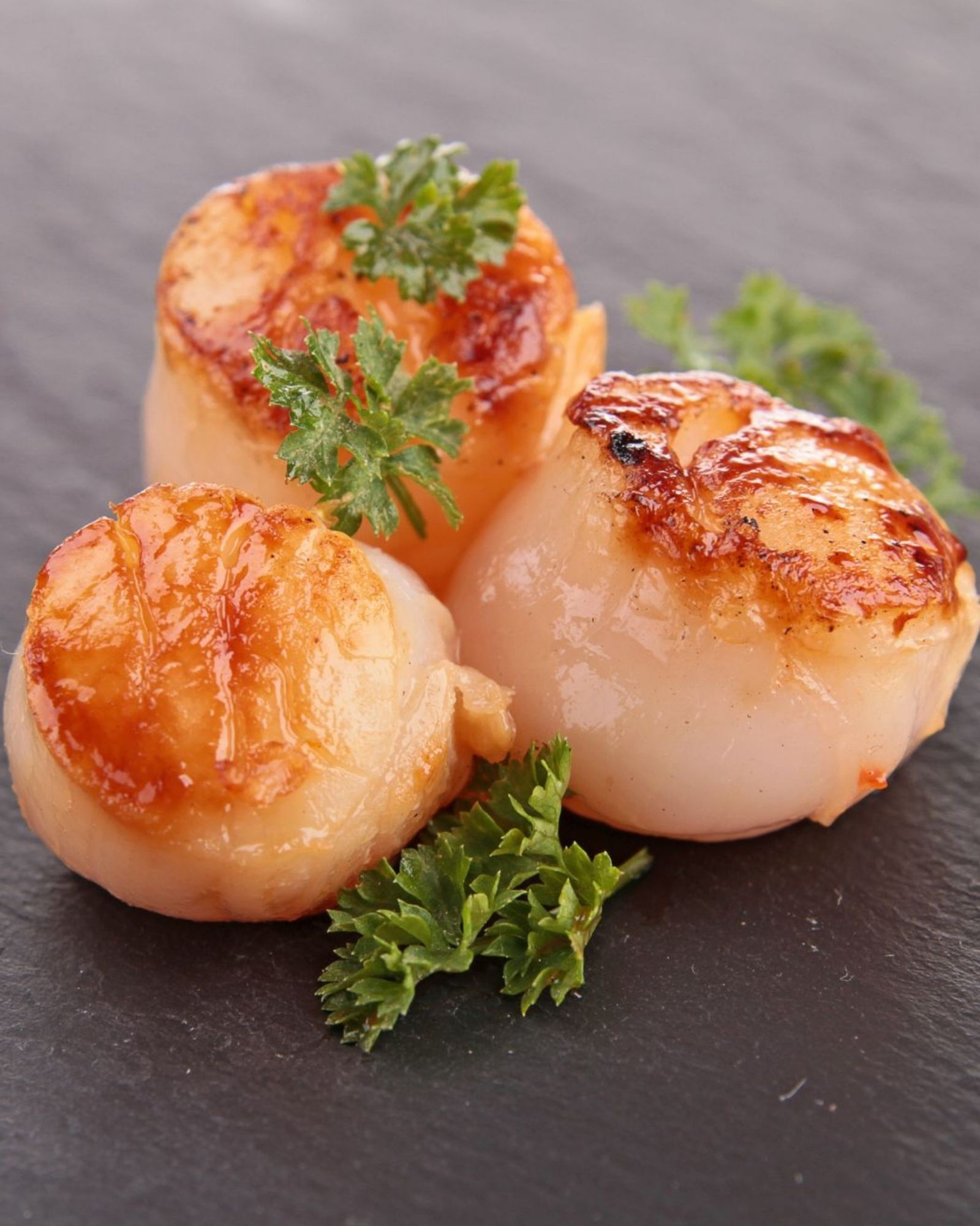 Hotate scallop course