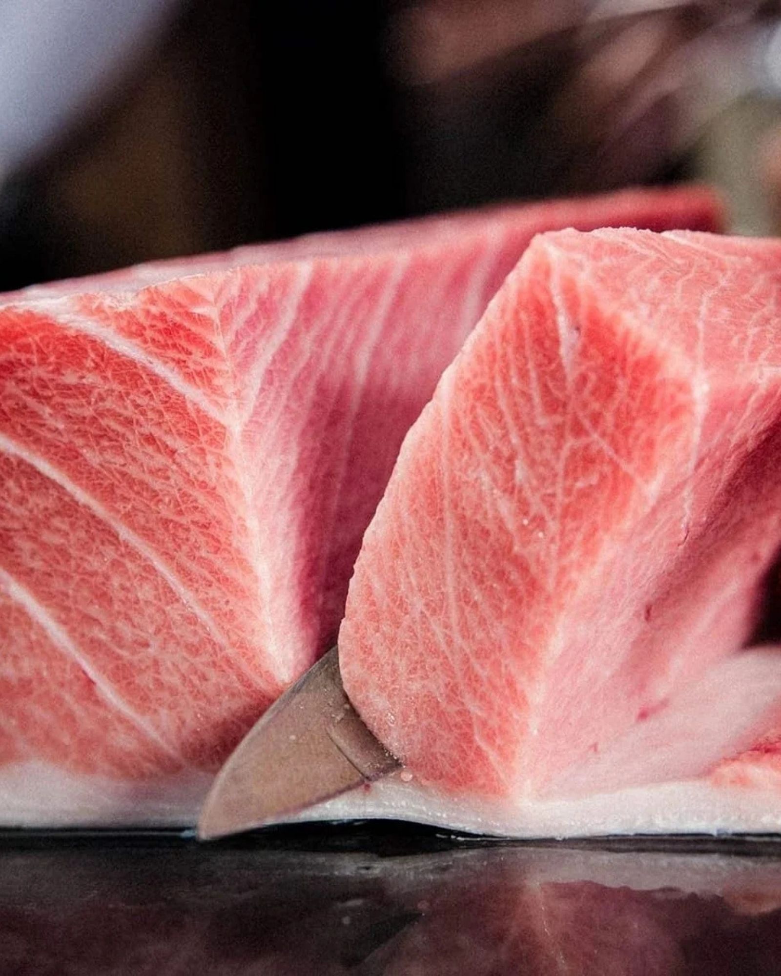 O-toro fatty tuna course